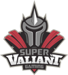 Super Valiant Gaming