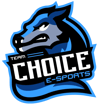 Team Choice