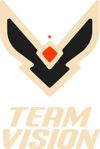 Team Vision