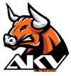 AKV E-Sports