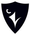 Carleton Ravens