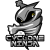 Cyclone Ninja