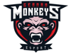 GermanMonkeys Academy