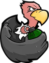 Vulture