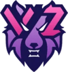 VIZORA Esports