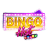 Bingo Hot Gaming