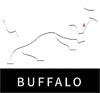 Buffalo Team