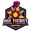 Multicast Gaming Fem