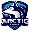 Arctic Gaming México