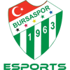 Bursaspor Esports