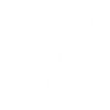 Imperial Esports