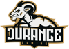 nDurance Gaming