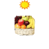 Super Sunshine Fruit Basket Warriors