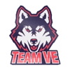 Team VE