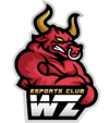 WanZhen Esports Club