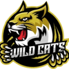 Wild Cats Wild Cats