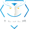 Tesla eSports
