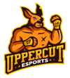 Uppercut Esports