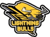 Lightning Bulls
