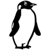 Pingüinos