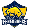 Fenerbahçe Esports