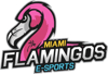 Miami Flamingos Miami Flamingos