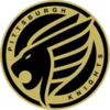 Pittsburgh Knights