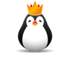 Team Kinguin