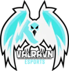 Valravn Esports