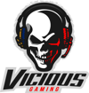 Vicious Gaming Vicious Gaming