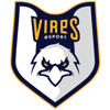 Vires eSport