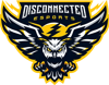 Disconnected Esports