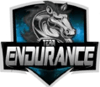 Endurance