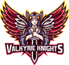 Valkyrie Knights