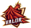 Team Valor