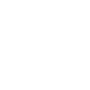 TSM X