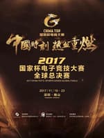China Top 2017 China Top 2017