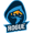 Rogue Esports Club