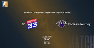 33 VS Endless Journey