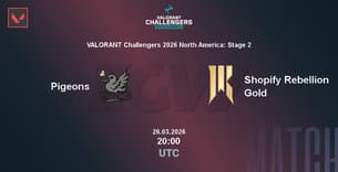 Pigeons VS Shopify Rebellion Gold