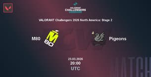 M80 VS Pigeons M80 VS Pigeons