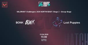 BONK VS Lost Puppies