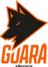 Guará eSports
