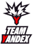 Team Yandex