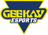 Geekay Esports