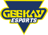 Geekay Esports