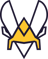 Team Vitality