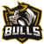 FR Bulls (Call of Duty)