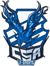 CSA eSports (Counter-Strike (CS2))