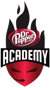Dr. Pepper Academy (Counter-Strike (CS2))